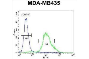 Flow Cytometry (FACS) image for anti-Zinc Finger Protein 98 (ZNF98) antibody (ABIN2995694) (ZNF98 antibody)