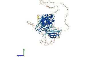AlphaFold protein structure predicition of Human Recombinant MELK Protein, UniprotID Q14680 (MELK Protein (AA 1-651) (His tag))