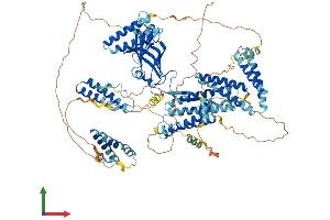 AlphaFold protein structure predicition of Mouse Recombinant Cc2d1a Protein, UniprotID Q8K1A6