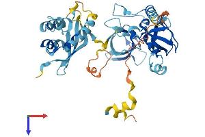 AlphaFold protein structure predicition of Human Recombinant NCF1B Protein, UniprotID A6NI72 (NCF1B Protein (AA 1-391) (His tag))