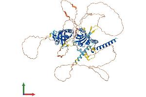 AlphaFold protein structure predicition of Mouse Recombinant Sim1 Protein, UniprotID Q61045 (SIM1 Protein (AA 1-765) (His tag))