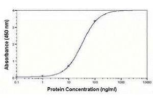 ELISA image for anti-Low Density Lipoprotein (LDL) antibody (ABIN2467932) (LDL antibody)