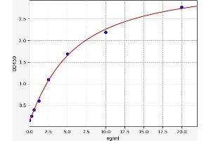 Typical standard curve (Ephrin B1 ELISA Kit)