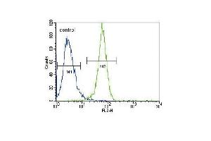 PGK1 Antibody (Center) (ABIN391135 and ABIN2841256) flow cytometric analysis of Hela cells (right histogram) compared to a negative control cell (left histogram).