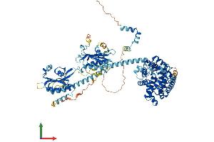 AlphaFold protein structure predicition of Mouse Recombinant Pde5a Protein, UniprotID Q8CG03 (PDE5A Protein (AA 1-865) (His tag))