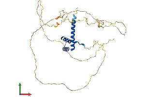 AlphaFold protein structure predicition of Human Recombinant HOXC10 Protein, UniprotID Q9NYD6 (HOXC10 Protein (AA 1-342) (His tag))