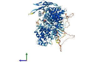Protein Structure (PS) image for Tyrosine Kinase 2 (TYK2) (AA 1-1187) protein (His tag) (ABIN7555916)