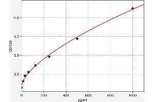 Typical standard curve (FABP1 ELISA Kit)