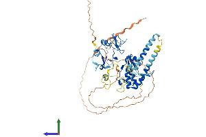 AlphaFold protein structure predicition of Mouse Recombinant Phf10 Protein, UniprotID Q9D8M7 (PHF10 Protein (AA 1-497) (His tag))