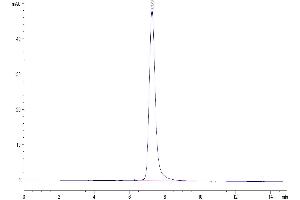 The purity of Human ACE2 is greater than 95 % as determined by SEC-HPLC (ACE2 Protein (AA 18-740) (His tag))