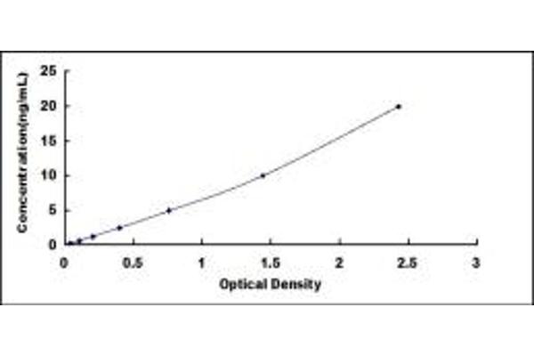 Aquaporin 8 ELISA Kit