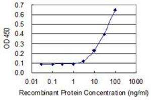 Detection limit for recombinant GST tagged ZNF350 is 1 ng/ml as a capture antibody. (ZNF350 antibody  (AA 1-532))