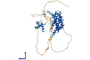 AlphaFold protein structure predicition of Mouse Recombinant Terf2 Protein, UniprotID O35144 (TRF2 Protein (AA 1-541) (His tag))