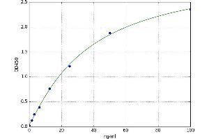CD8a Molecule (CD8A) ELISA Kit