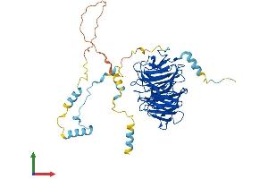 AlphaFold protein structure predicition of Human Recombinant CDC20 Protein, UniprotID Q12834 (CDC20 Protein (AA 1-499) (His tag))