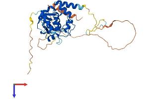 TSR3 20S rRNA Accumulation (TSR3) (AA 1-323) protein (His tag)
