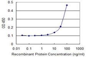 Detection limit for recombinant GST tagged FOXC2 is 3 ng/ml as a capture antibody. (FOXC2 antibody  (AA 156-256))