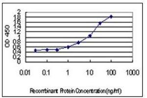 ELISA image for anti-Interferon Regulatory Factor 4 (IRF4) (AA 342-452) antibody (ABIN614626) (IRF4 antibody  (AA 342-452))