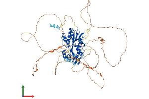 AlphaFold protein structure predicition of Human Recombinant ERI2 Protein, UniprotID A8K979