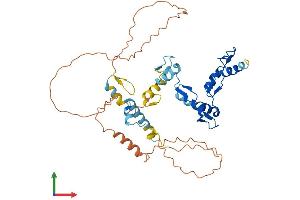 AlphaFold protein structure predicition of Human Recombinant ZNF552 Protein, UniprotID Q9H707 (ZNF552 Protein (AA 1-407) (His tag))