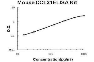 Mouse CCL21/6Ckine PicoKine ELISA Kit standard curve (CCL21 ELISA Kit)