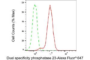 anti-Dual Specificity Phosphatase 23 (DUSP23) antibody