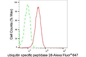 Flow cytometric analysis of ubiquitin specific peptidase 28 expression in HepG2 cells using ubiquitin specific peptidase 28 antibody (ABIN7800733), 1:2,000). (Recombinant USP28 antibody)