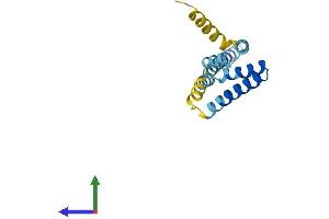 AlphaFold protein structure predicition of Human Recombinant TOMM20L Protein, UniprotID Q6UXN7
