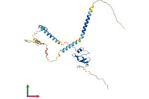 AlphaFold protein structure predicition of Mouse Recombinant Cd74 Protein, UniprotID P04441 (CD74 Protein (AA 1-279) (His tag))