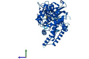 AlphaFold protein structure predicition of Mouse Recombinant Cyp2c29 Protein, UniprotID Q64458 (CYP2C29 Protein (AA 1-490) (His tag))