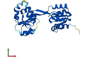 AlphaFold protein structure predicition of Human Recombinant UROS Protein, UniprotID P10746 (UROS Protein (AA 1-265) (His tag))