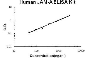 Human JAM-A PicoKine ELISA Kit standard curve