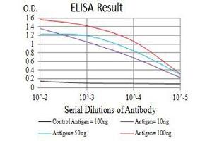 Black line: Control Antigen (100 ng),Purple line: Antigen (10 ng), Blue line: Antigen (50 ng), Red line:Antigen (100 ng) (HAVCR1 antibody  (AA 70-290))