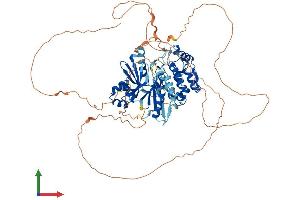 AlphaFold protein structure predicition of Human Recombinant MARK4 Protein, UniprotID Q96L34