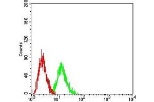 Flow cytometric analysis of SW-620 cells using GATA3 mouse mAb (green) and negative control (red).