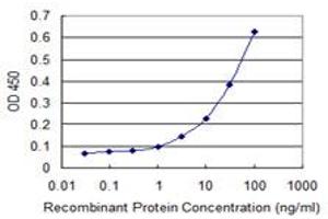 Detection limit for recombinant GST tagged FBXL21 is 1 ng/ml as a capture antibody. (FBXL21 antibody  (AA 167-276))