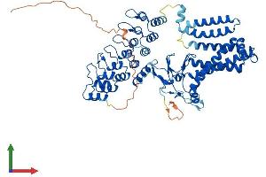 AlphaFold protein structure predicition of Human Recombinant ZDHHC17 Protein, UniprotID Q8IUH5
