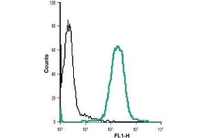 Cell surface detection of VPAC1 in live intact Jurkat (human T cell leukemia cells) cell line: (black line) Cells + goat-anti-rabbit-DyLight-488. (VIPR1 antibody  (Extracellular))