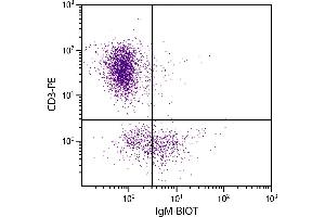 Chicken peripheral blood lymphocytes were stained with Mouse Anti-Chicken IgM-BIOT. (Mouse anti-Chicken IgM Antibody (Biotin))