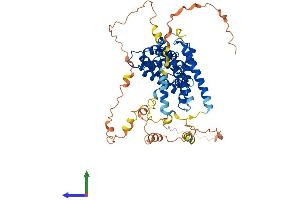 Protein Structure (PS) image for Target of Myb1-Like 2 (TOM1L2) (AA 1-507) protein (His tag) (ABIN7544522)