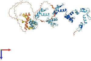 Protein Structure (PS) image for ZFP69 Zinc Finger Protein (ZFP69) (AA 1-566) protein (His tag) (ABIN7545366)