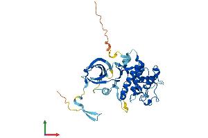AlphaFold protein structure predicition of Mouse Recombinant Cdk10 Protein, UniprotID Q3UMM4 (CDK10 Protein (AA 1-360) (His tag))