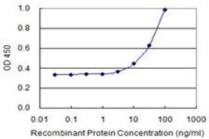 Detection limit for recombinant GST tagged SLAMF7 is 1 ng/ml as a capture antibody. (SLAMF7 antibody  (AA 1-296))