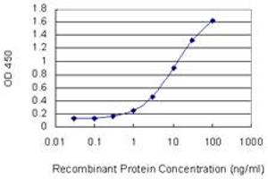Detection limit for recombinant GST tagged HRH3 is 0. (HRH3 antibody  (AA 257-359))