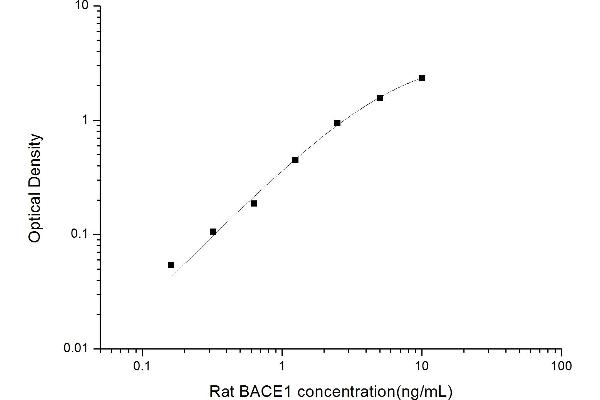 BACE1 ELISA Kit