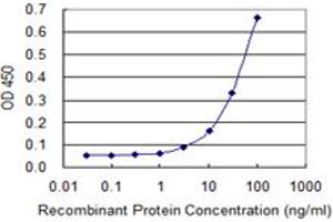 Detection limit for recombinant GST tagged IFNAR1 is 1 ng/ml as a capture antibody. (IFNAR1 antibody  (AA 28-127))