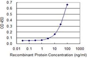 Detection limit for recombinant GST tagged IFNAR1 is 1 ng/ml as a capture antibody. (IFNAR1 antibody  (AA 28-127))