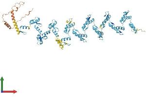 AlphaFold protein structure predicition of Human Recombinant ZNF107 Protein, UniprotID Q9UII5 (ZNF107 Protein (AA 1-783) (His tag))