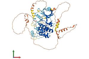 AlphaFold protein structure predicition of Human Recombinant MAPK4 Protein, UniprotID P31152