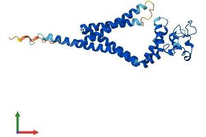 AlphaFold protein structure predicition of Mouse Recombinant Tspan33 Protein, UniprotID Q8R3S2 (TSPAN33 Protein (AA 1-283) (His tag))